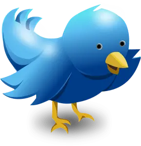 Twitter Bird Logo - Bizopia