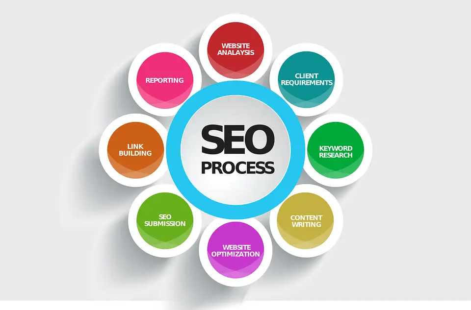 SEO Process with Bizopia