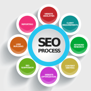 SEO Process with Bizopia