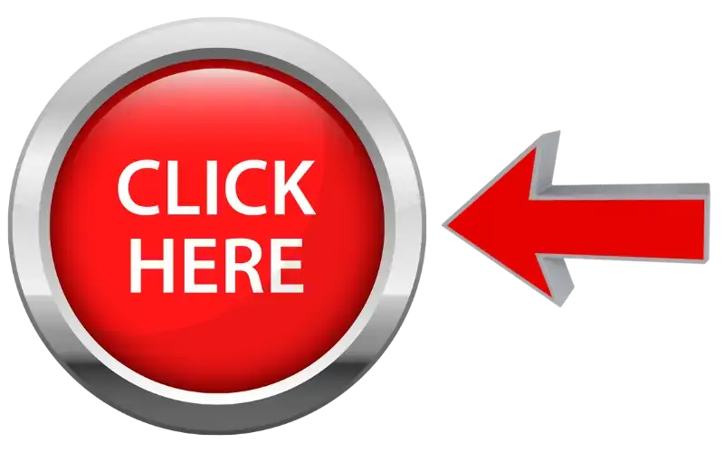 Contact Katy SEO Marketing Agency - Bizopia for Katy Businesses