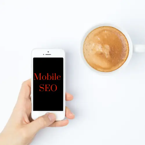 Houston Search Engine Optimization - Bizopia