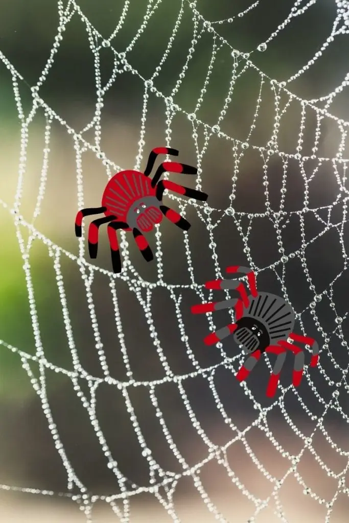 Houston SEO - Bizopia